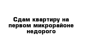 Сдам квартиру на первом микрорайоне недорого